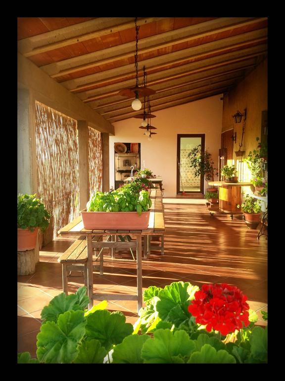 Agriturismo San Giusto モンティアーノ エクステリア 写真